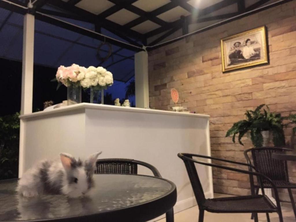 V Valley Resort Satun Zewnętrze zdjęcie