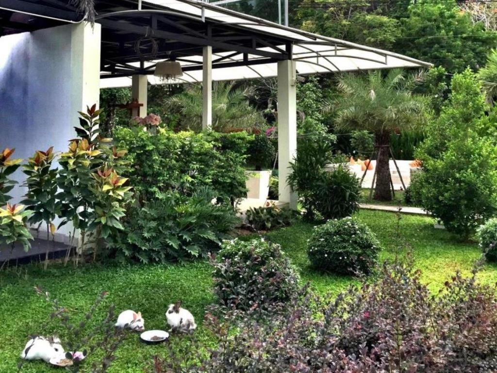V Valley Resort Satun Zewnętrze zdjęcie
