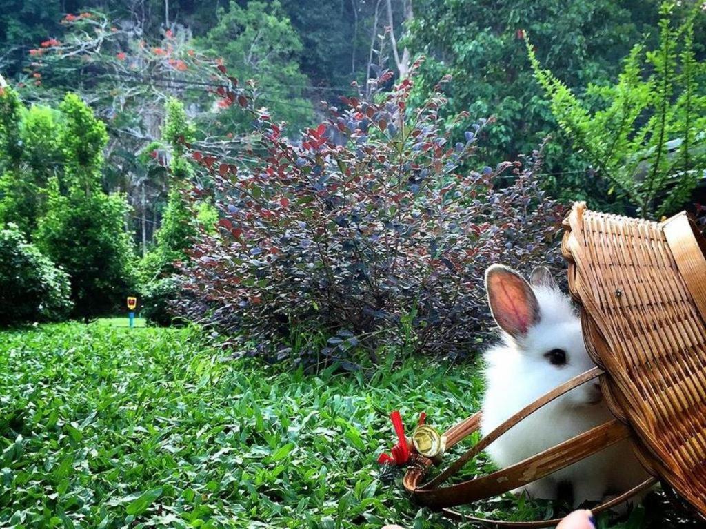 V Valley Resort Satun Zewnętrze zdjęcie