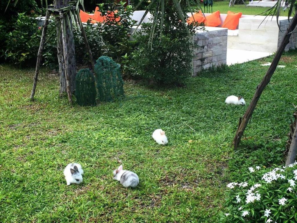 V Valley Resort Satun Zewnętrze zdjęcie