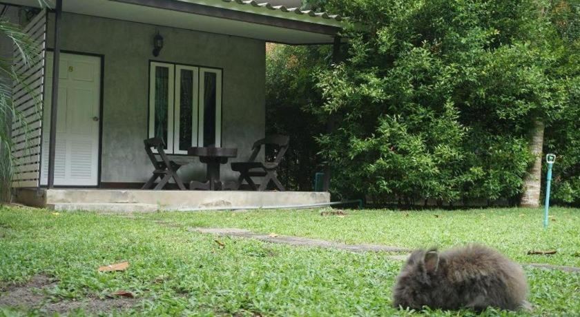 V Valley Resort Satun Zewnętrze zdjęcie