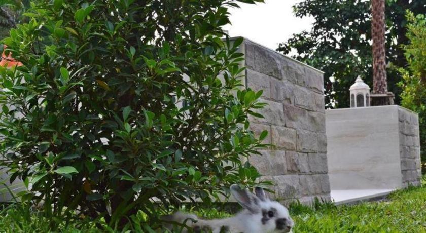 V Valley Resort Satun Zewnętrze zdjęcie